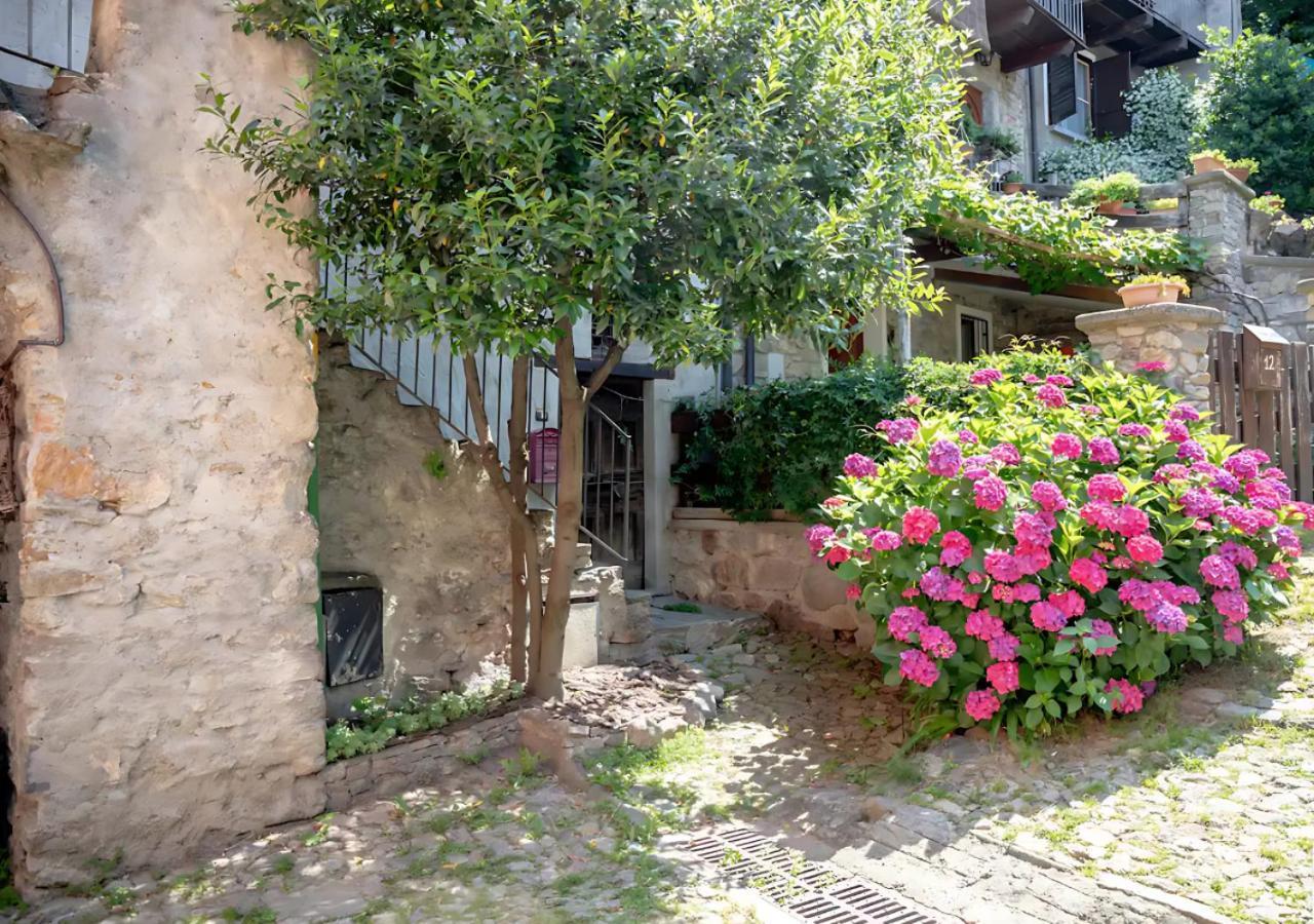 Casa Del Borgo: Appartamento Immerso Nel Verde A/C Bellano Dış mekan fotoğraf